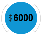 $3000