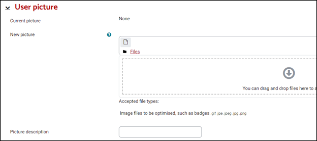 user picture screen.