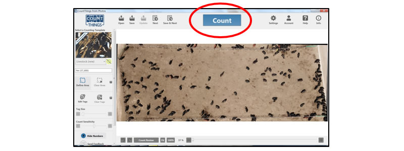 Screenshot of selecting Count Review in the lower left under the counting image in Windows CountThings.
