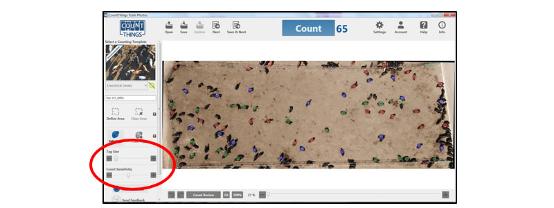 Screenshot of selecting Save in the upper left above the counted image in Windows CountThings.