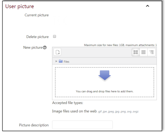 File upload page in Regis Myonline Moodle. It indicates the user can attach or drag and drop an image for a profile picture.